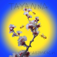  TAYANNA - Абрикоси